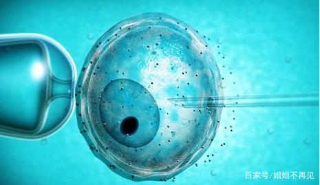 关于专业拉拉代怀助孕费用多少